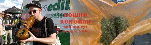 ГАЛЛЮЦИНОГЕННЫЕ ГРИБЫ Балабаново