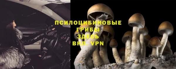 дмт Аркадак