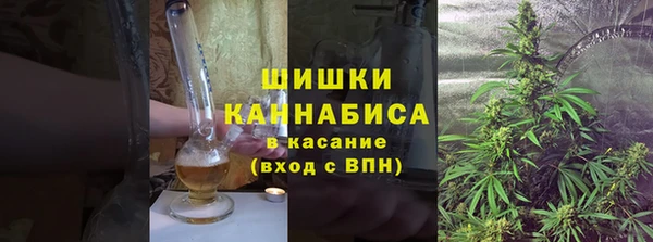 ГАЛЛЮЦИНОГЕННЫЕ ГРИБЫ Балабаново