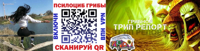 Галлюциногенные грибы Cubensis  Борисоглебск 